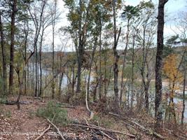 460 COUNTY ROAD 247