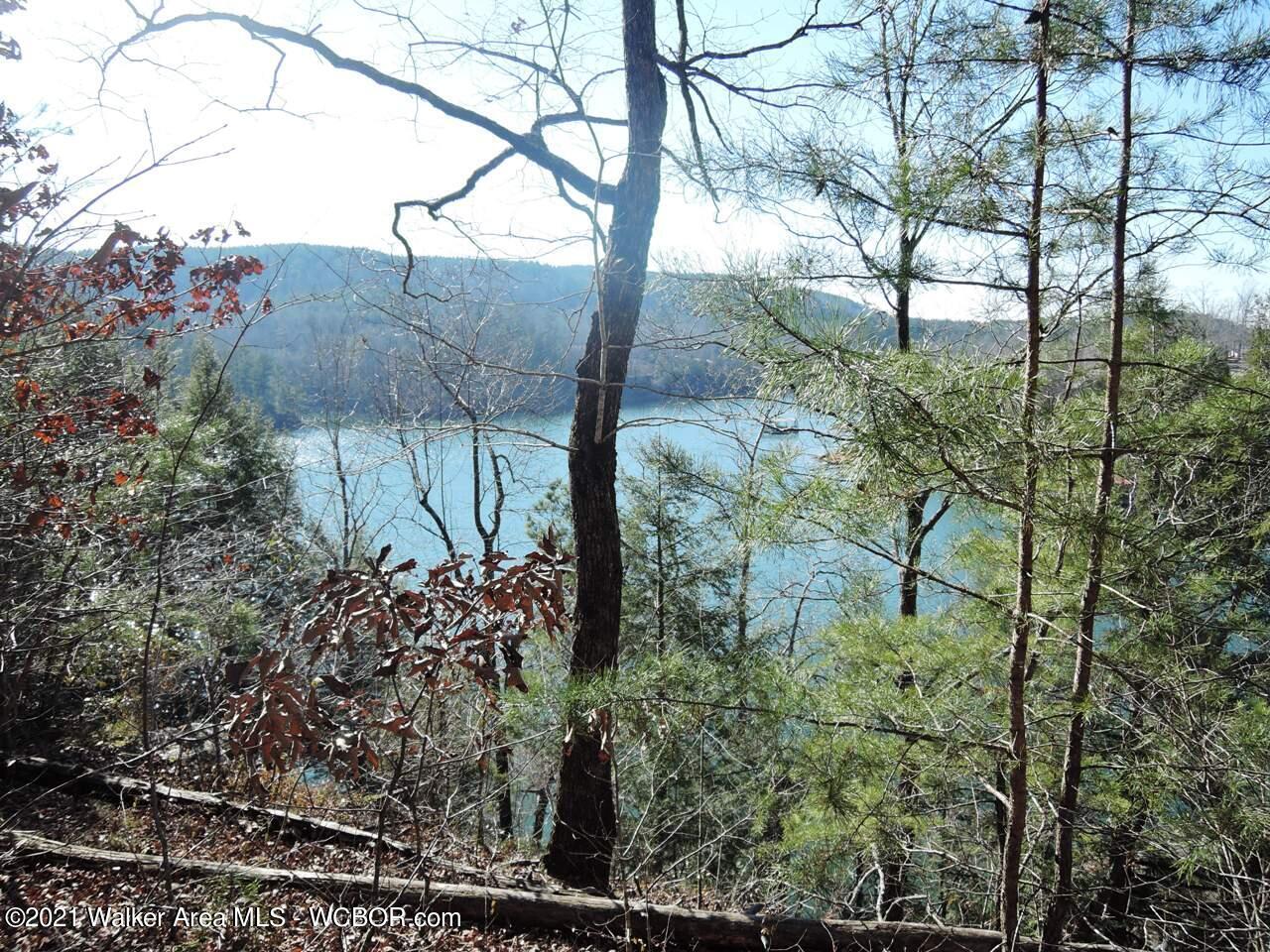 Image 1: Lake view from the lot.