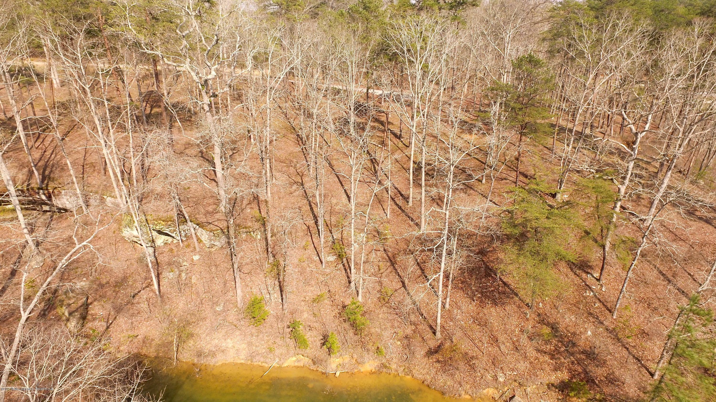 Image 2: DJI_0015