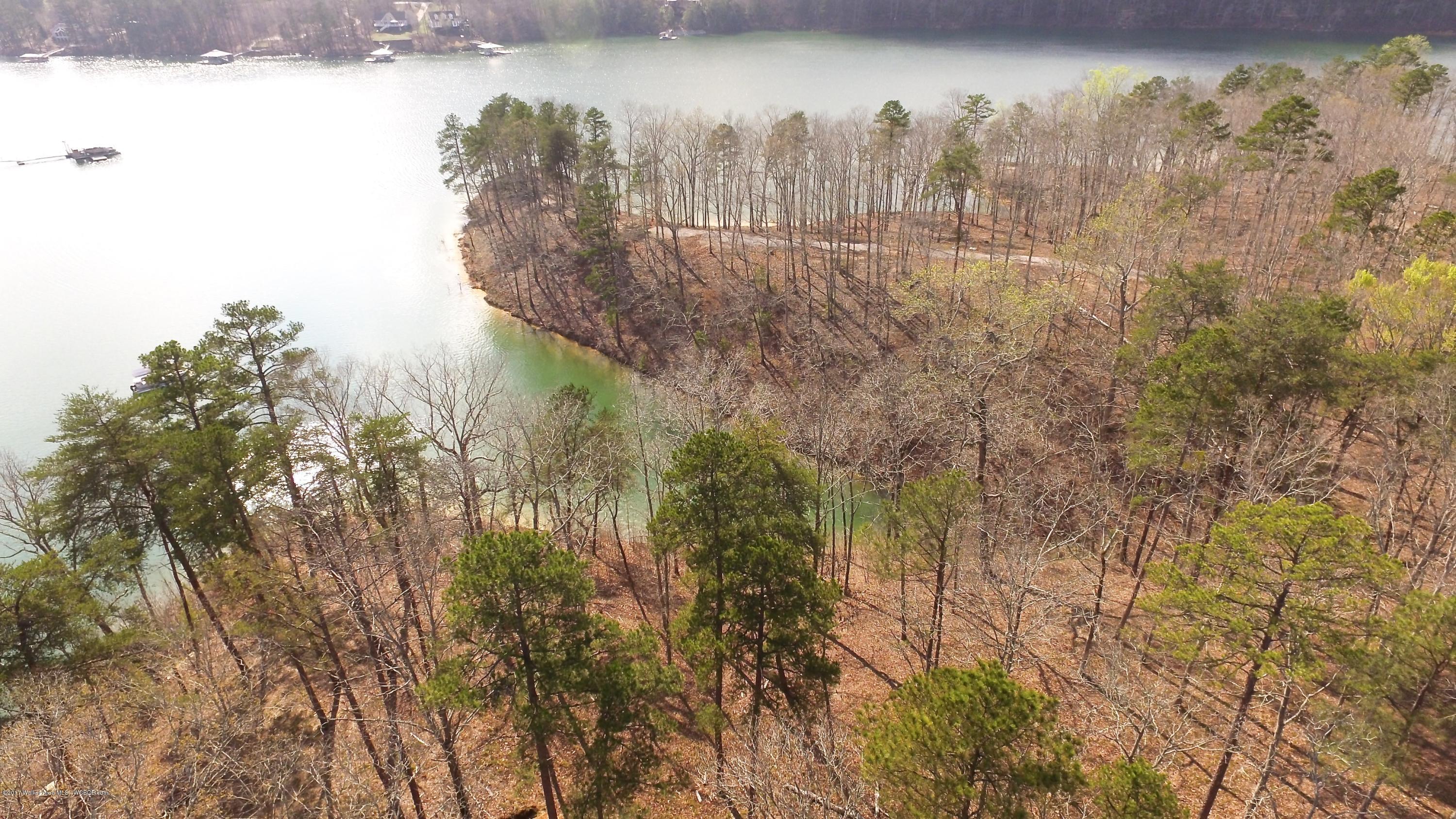 Image 3: DJI_0016