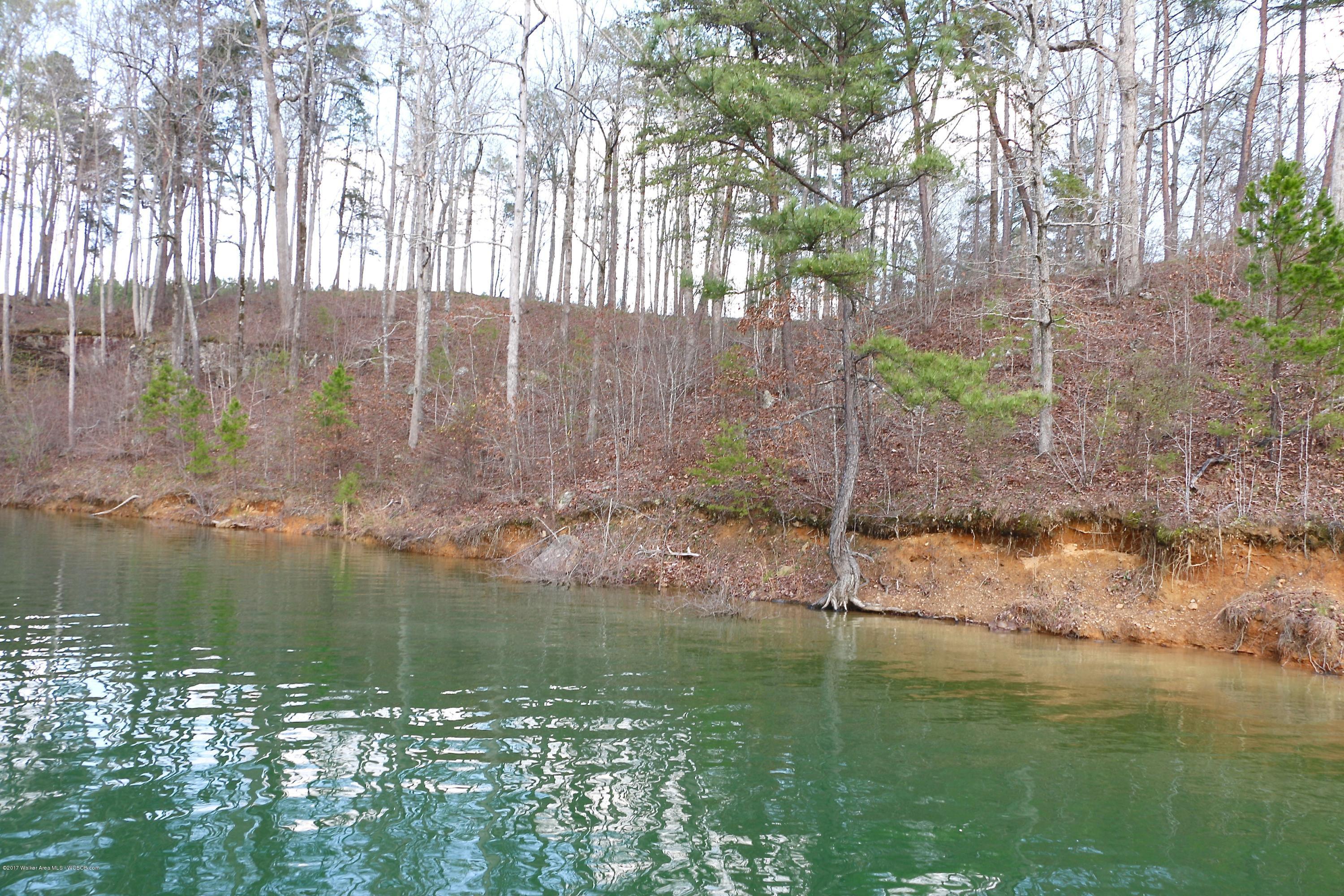 Image 4: IMG_6084
