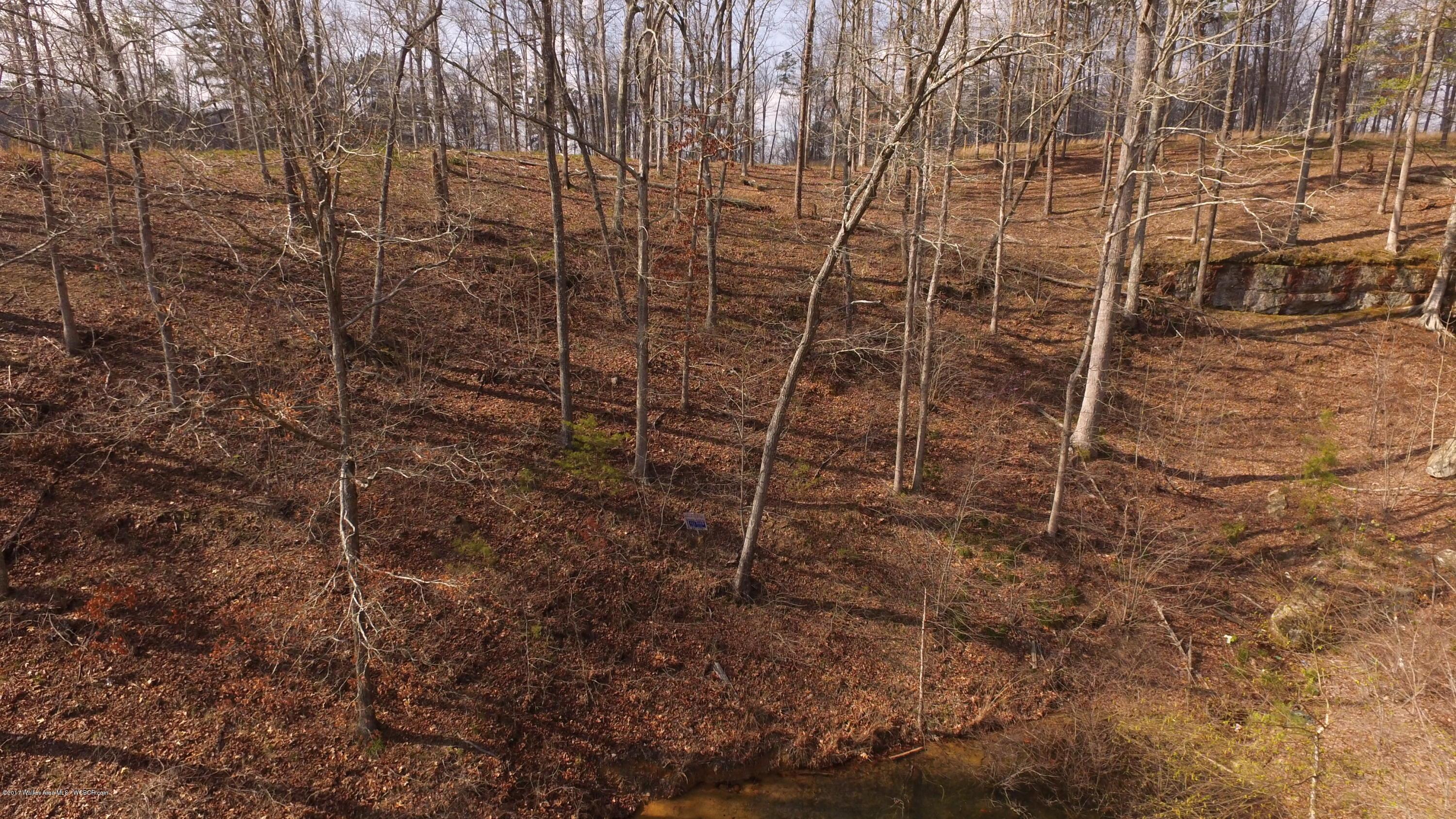 Image 2: DJI_0018