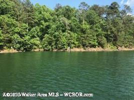 LOT # 5 RON THAMES DR