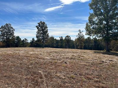 LOT 48 CO RD 367