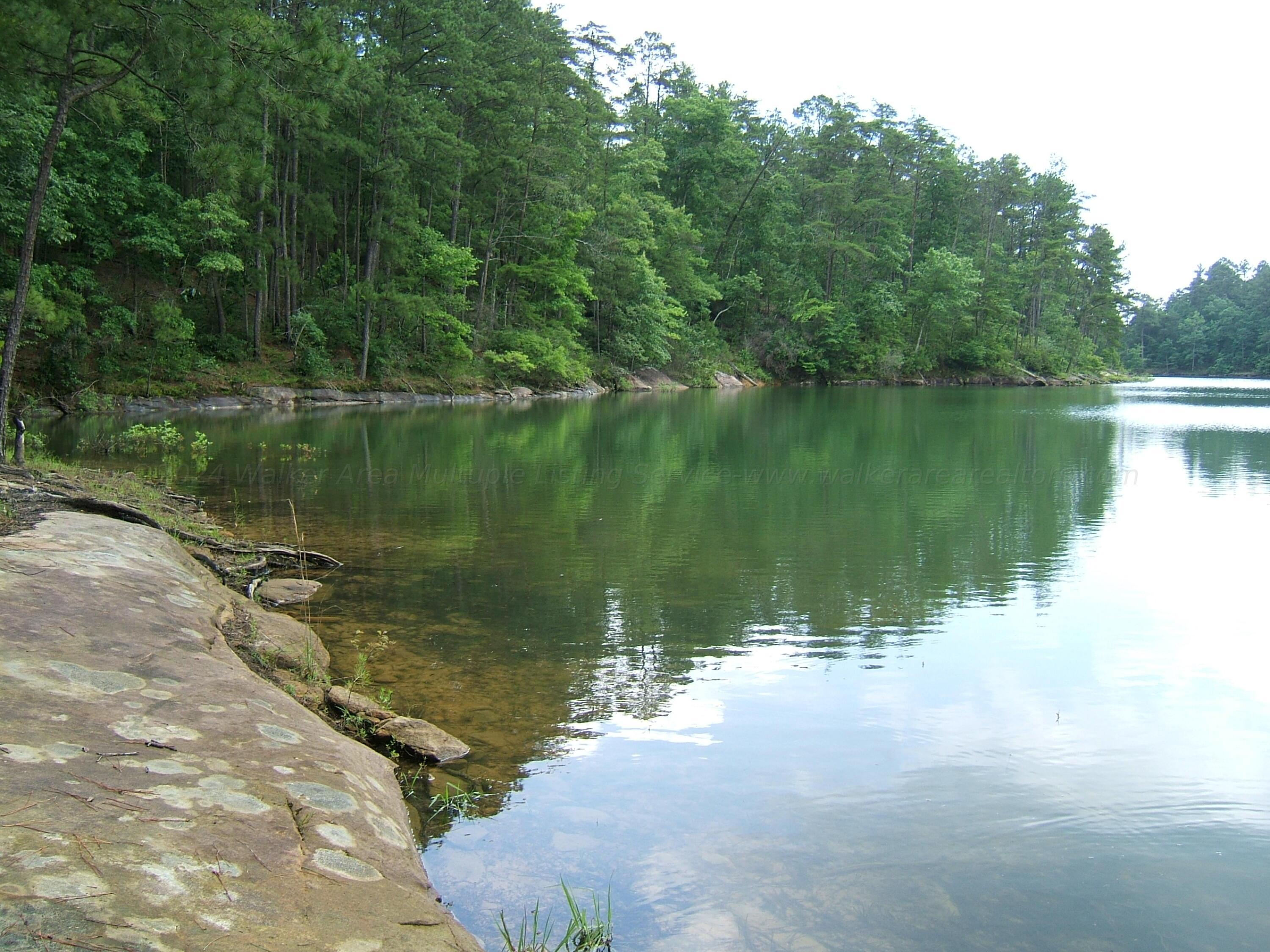 Image 1: Peaceful Views
