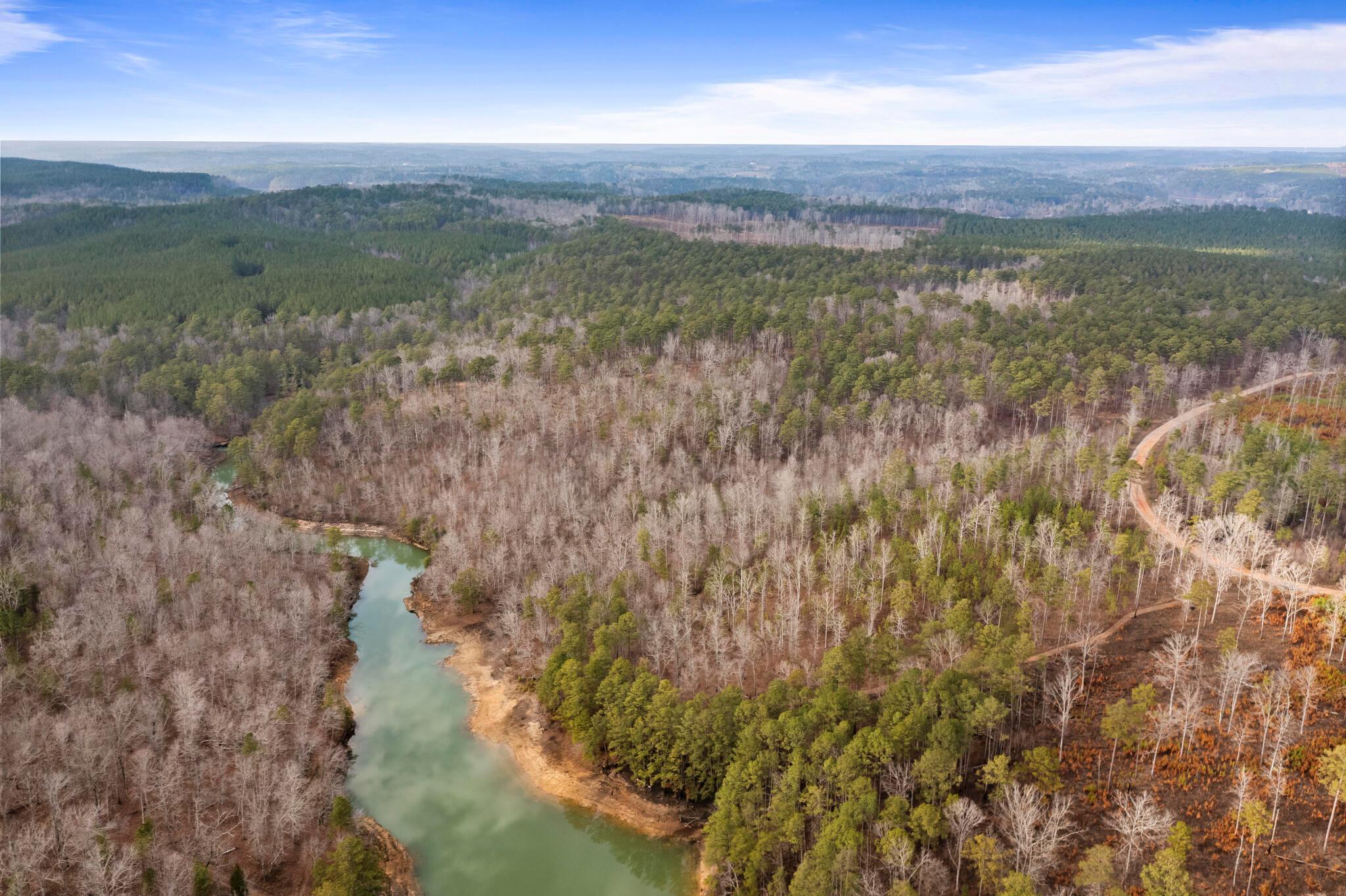 Image 4: Acreage