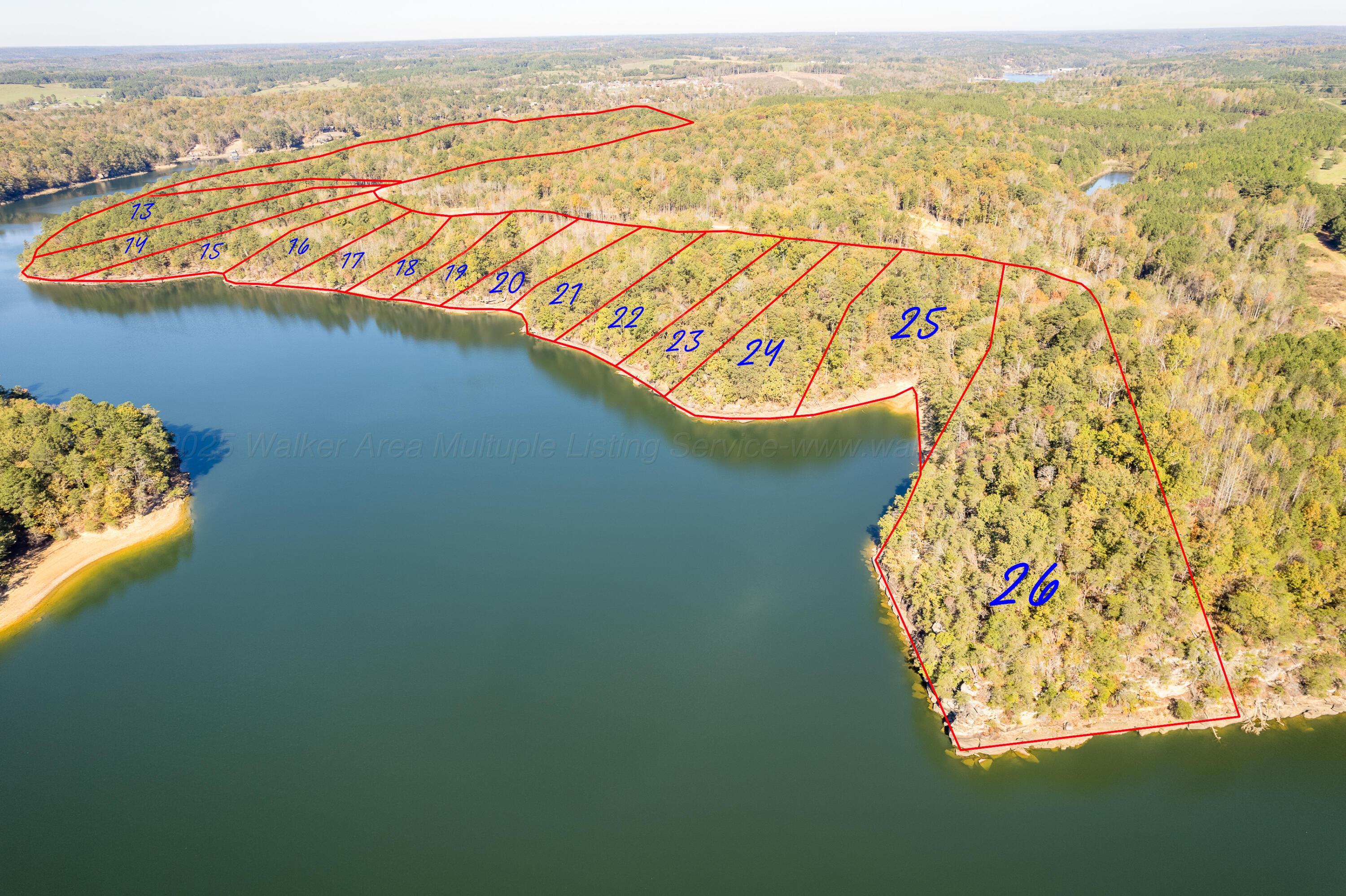Image 2: Aerial Lot Lines