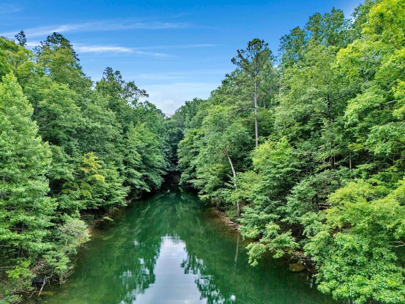 Image 4: DJI_20240702111244_0199_D