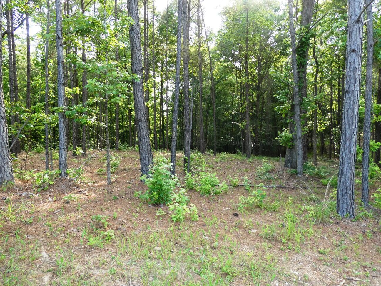 Image 2: Lot 74 view 2