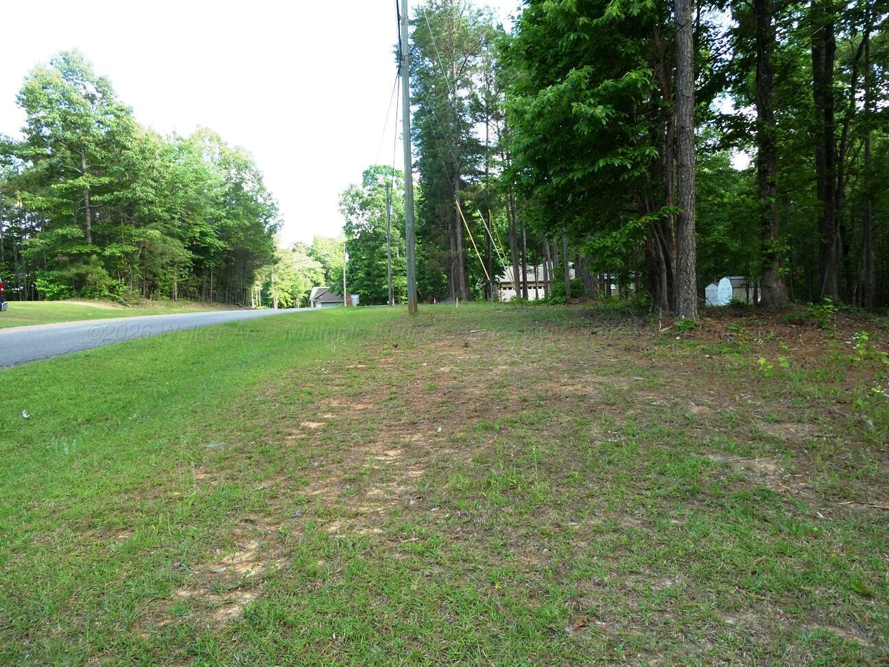 Image 3: Lot 74 road front view