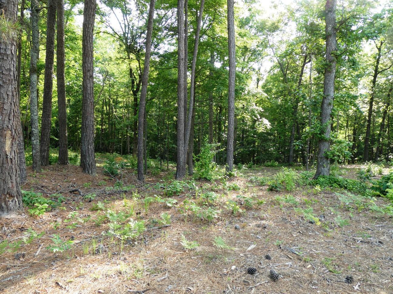 Image 2: Lot 73 view 2