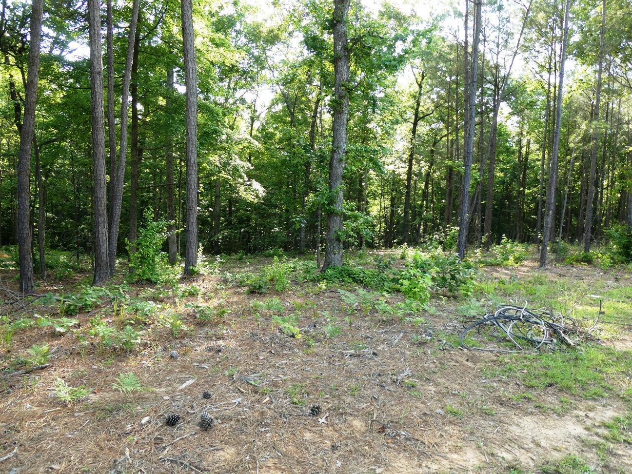 Image 3: Lot 73 view 3