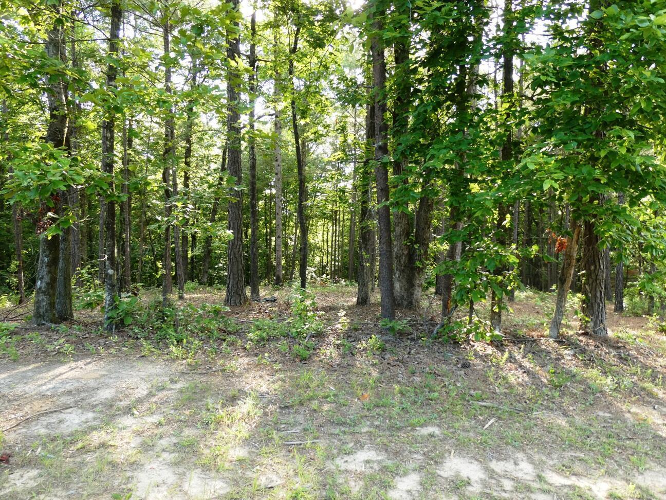 Image 4: Lot 73 view 4