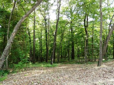 LOT 50 HARBOR LOOP