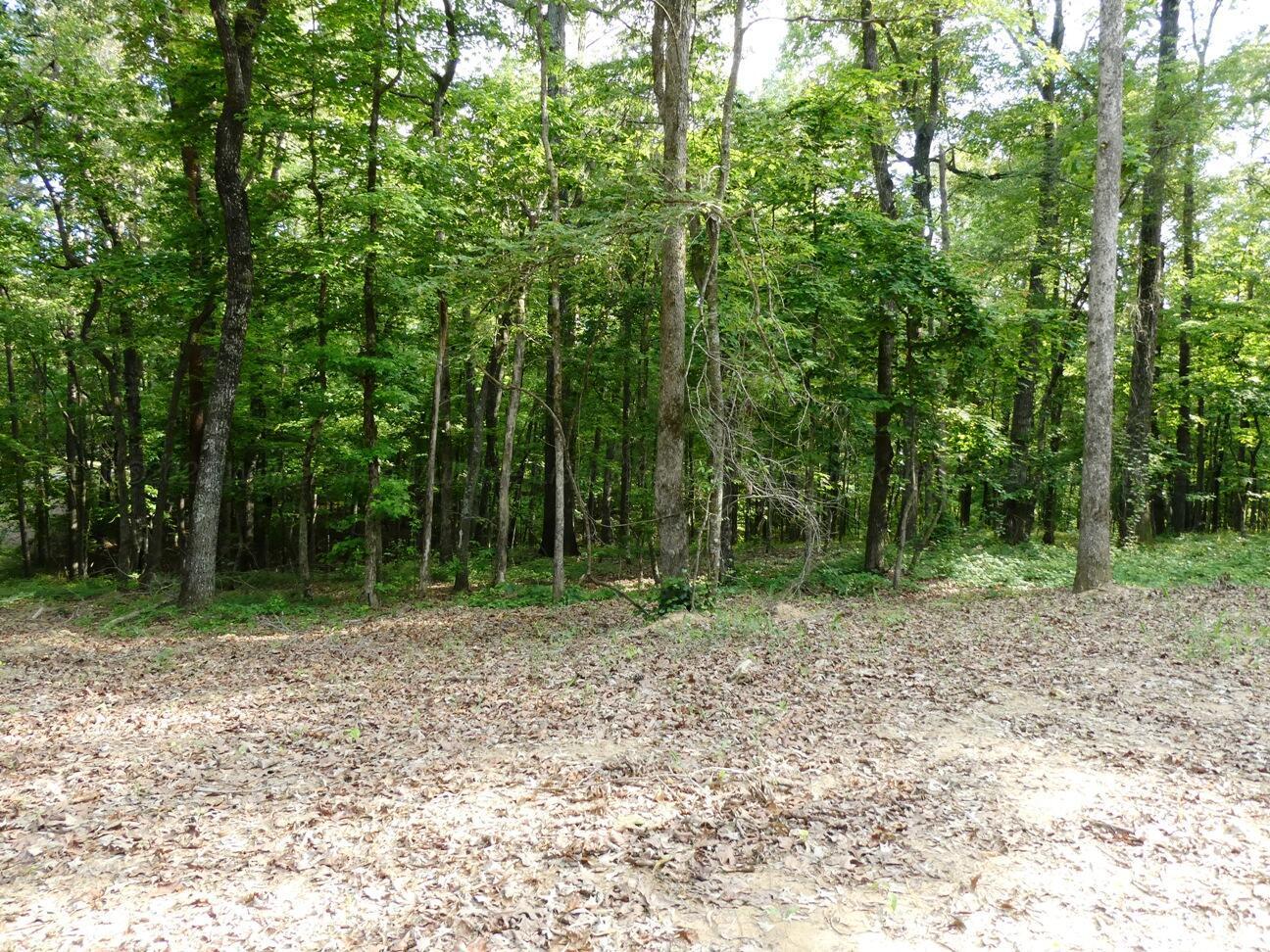 Image 2: Lot 50 view 2