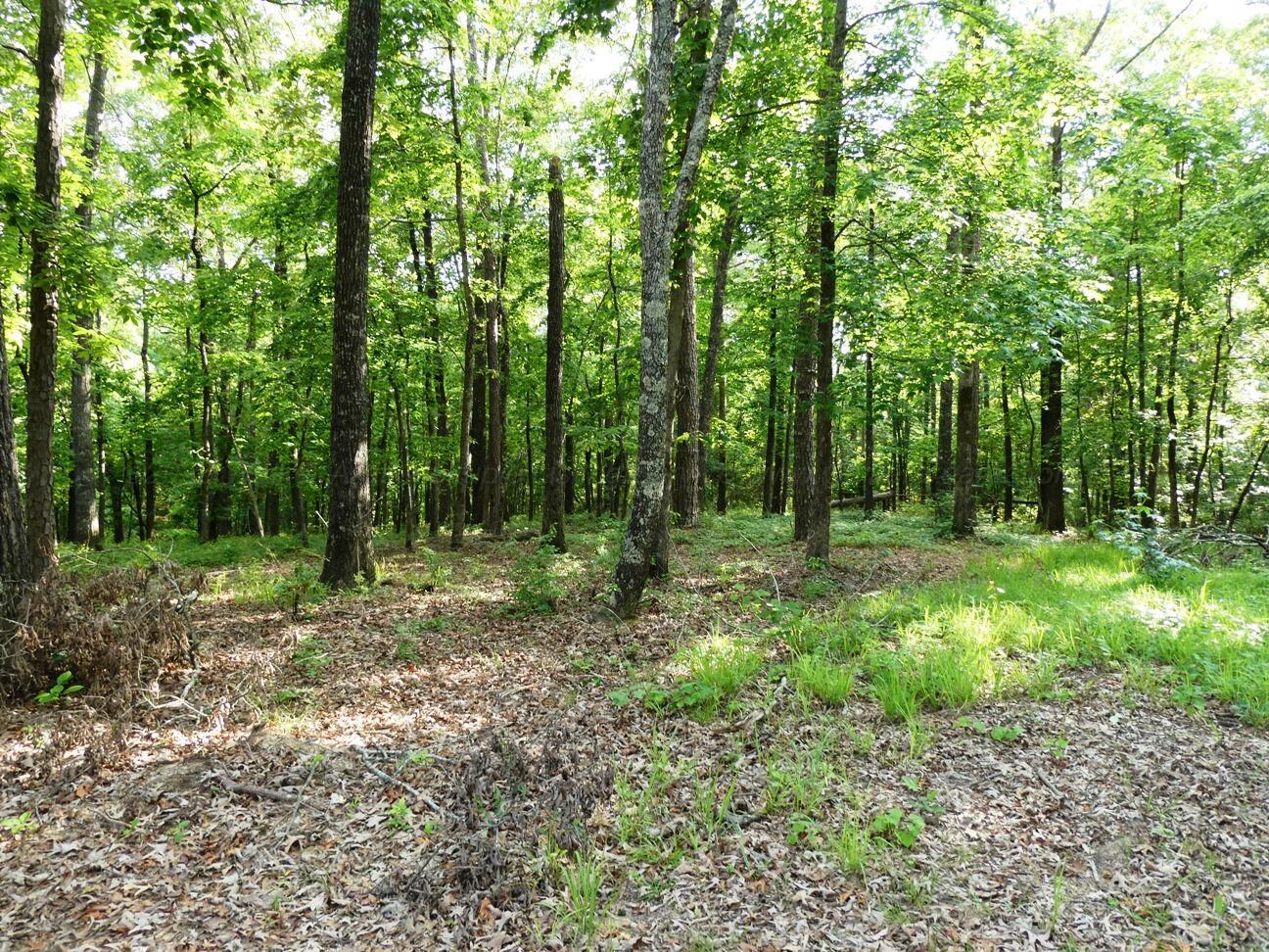 Image 3: Lot 50 view 3