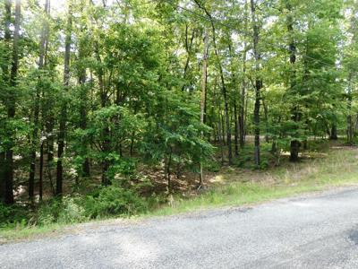 LOT 49 HARBOR LOOP