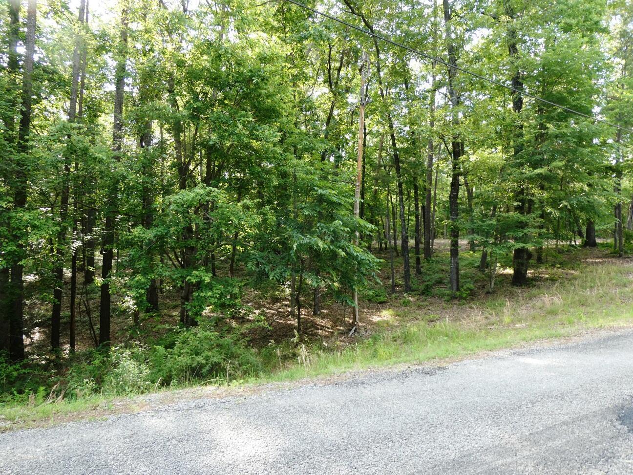 Image 1: Road front of this lot