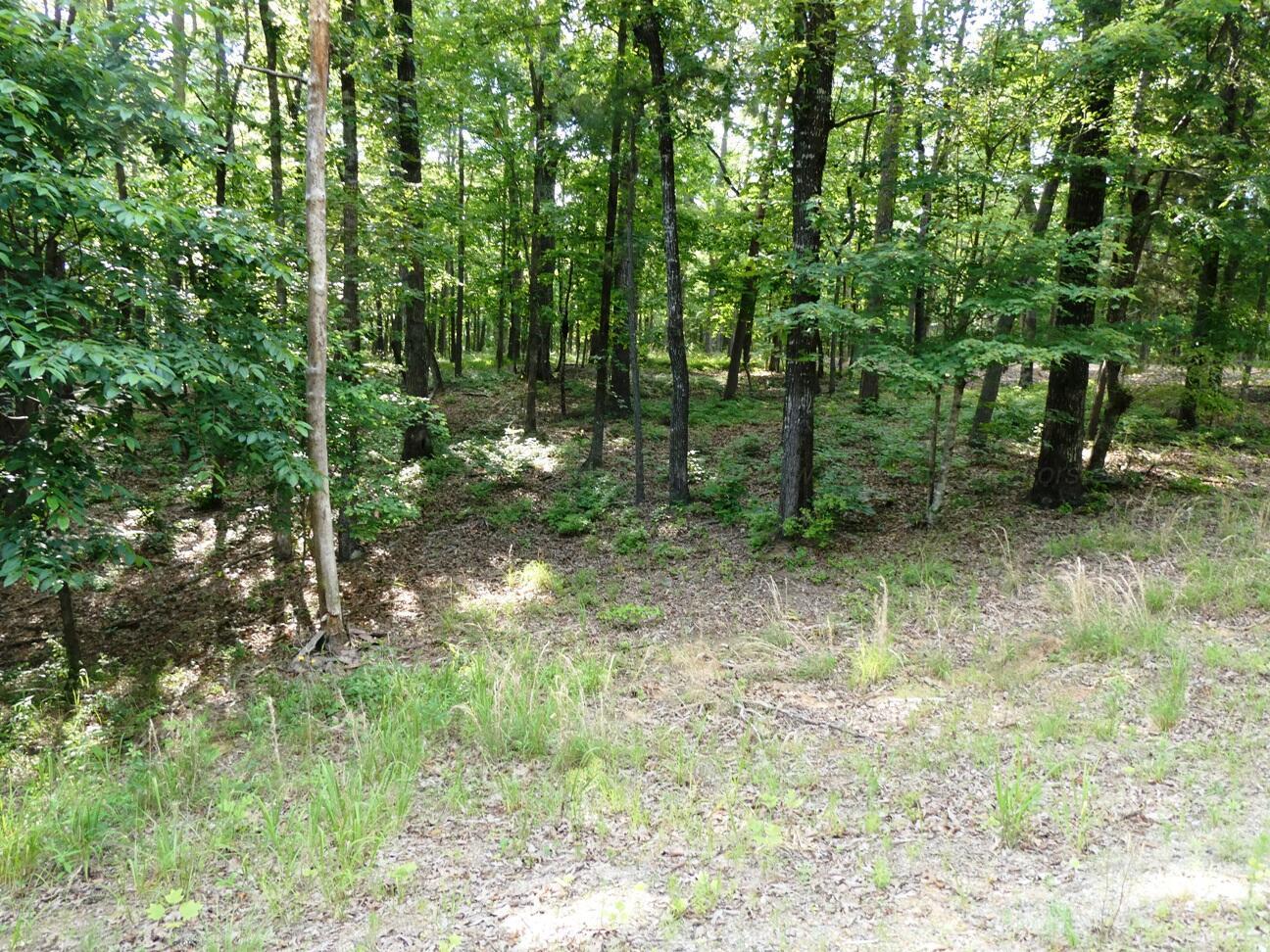 Image 2: Lot 49 view 2