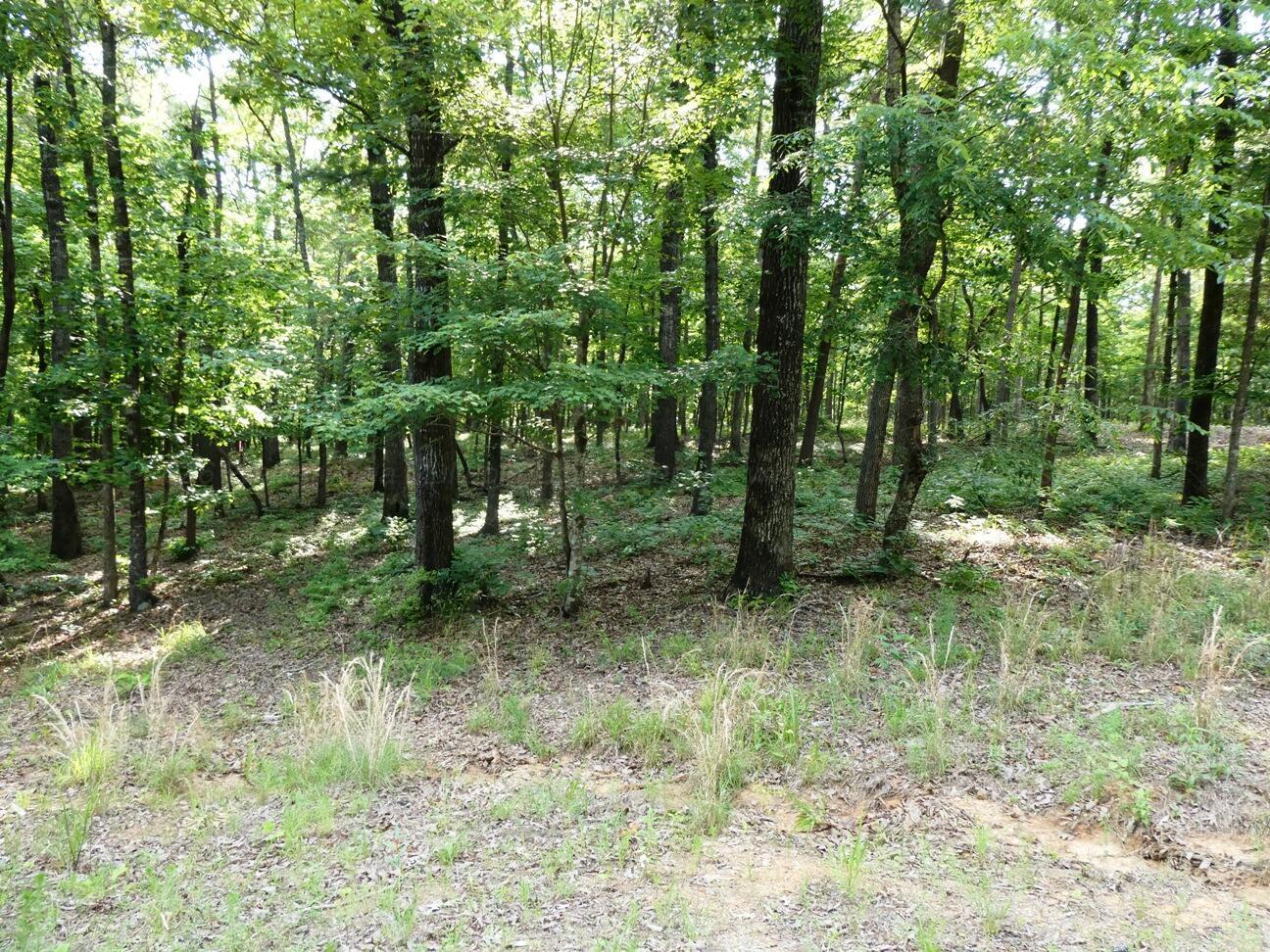 Image 3: Lot 49 view 3