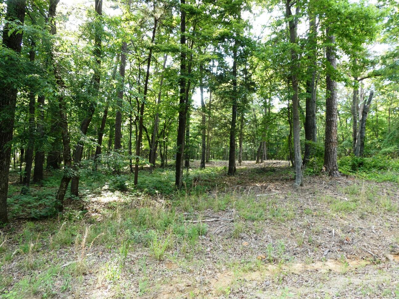 Image 4: Lot 49 View 4
