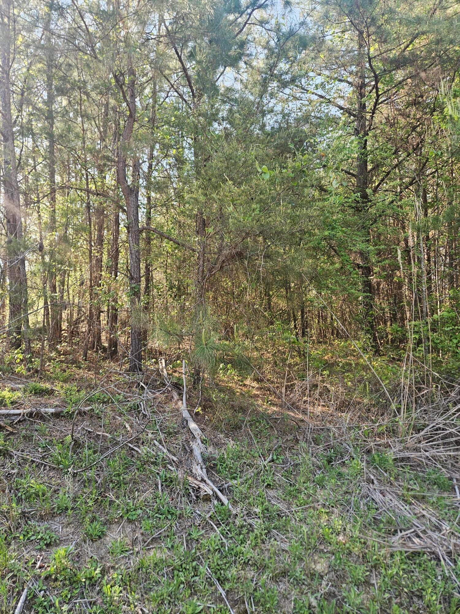 Image 3: 20260407_164824