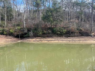 LOT 41 SIPSEY OVERLOOK