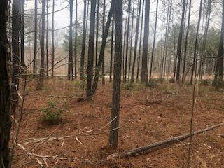 Image 2: Great area to build