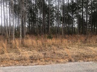 Image 4: roadside