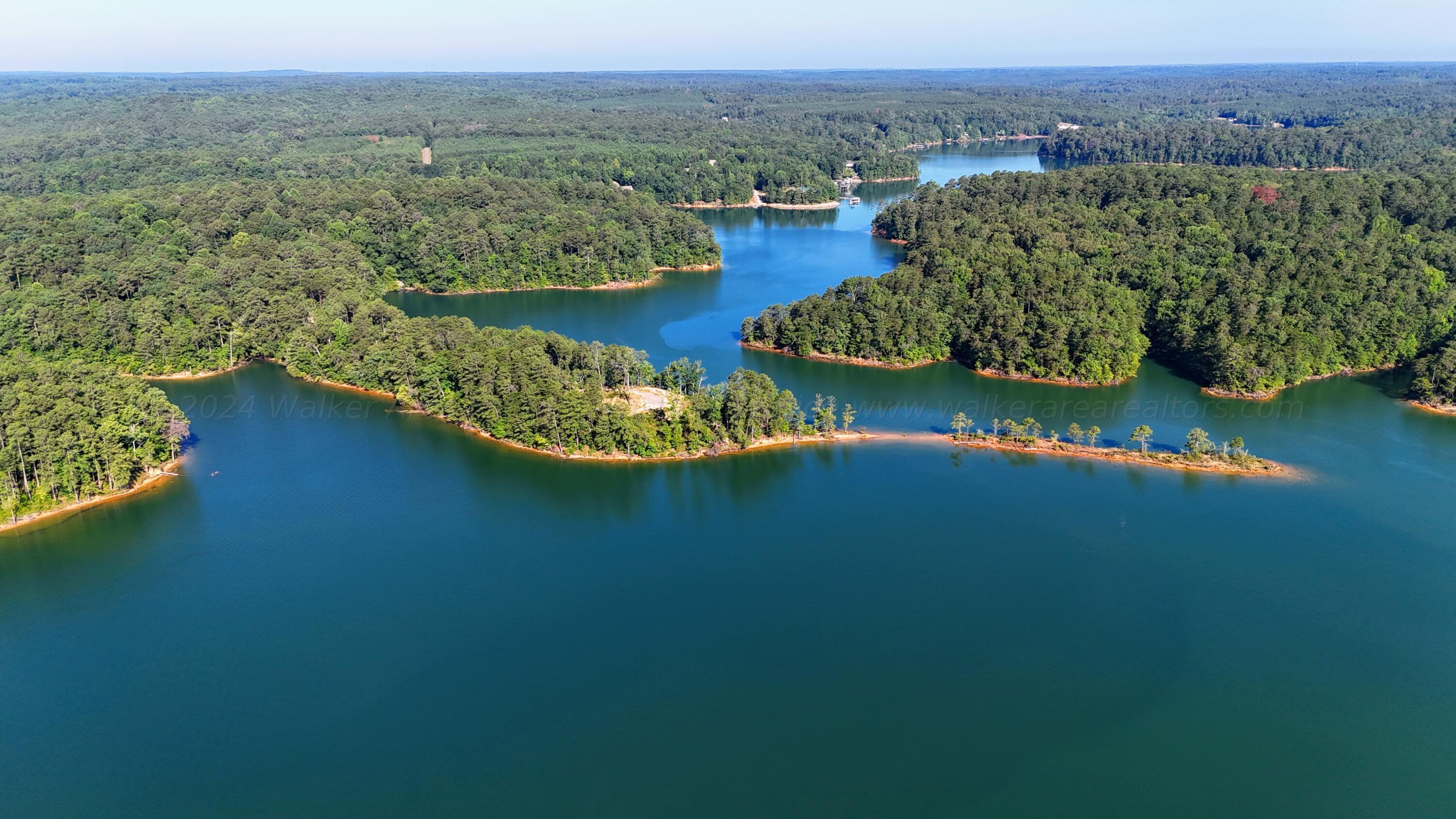 Image 2: DJI_20240711082855_0076_D