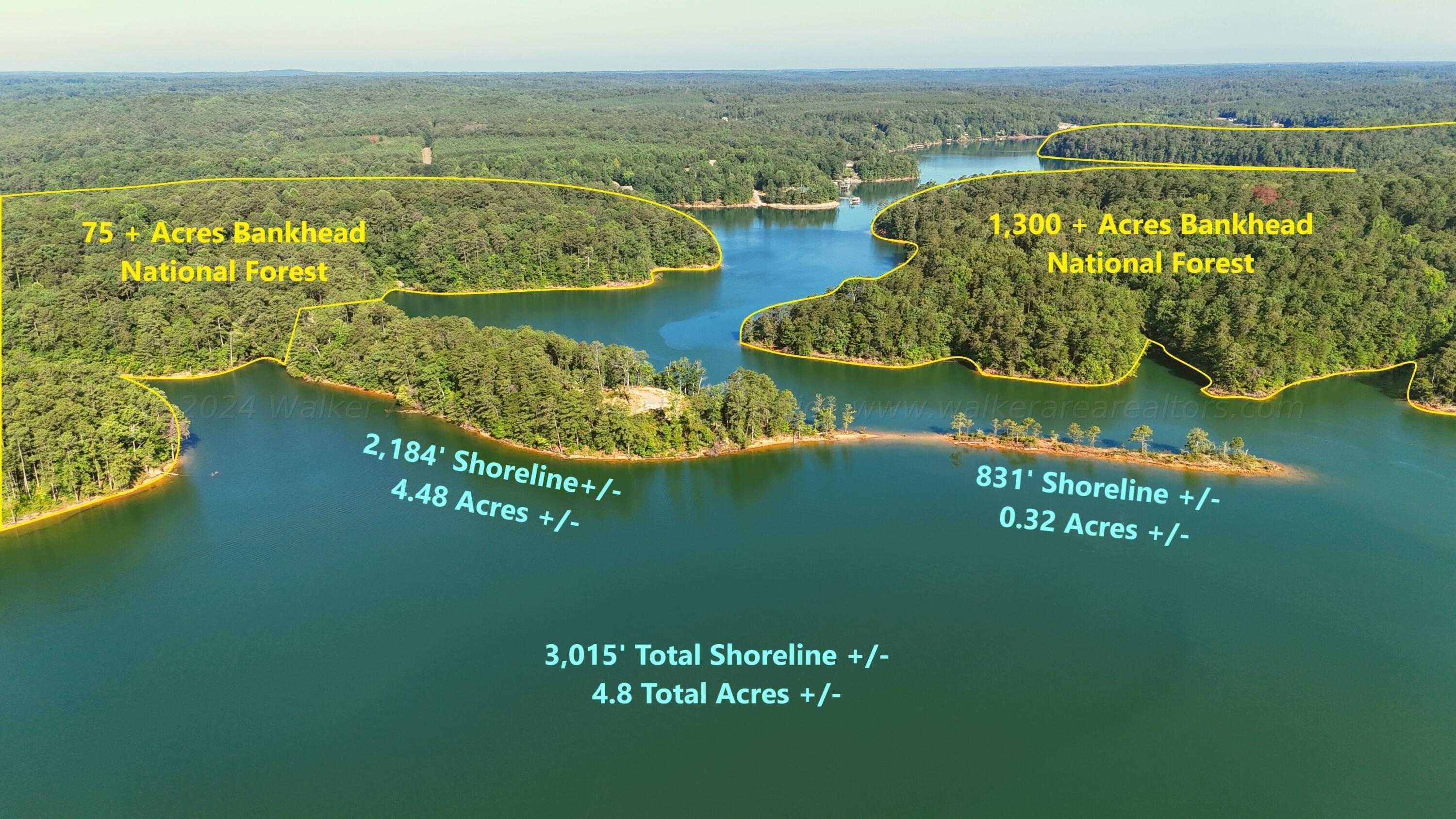 Image 3: Measurements