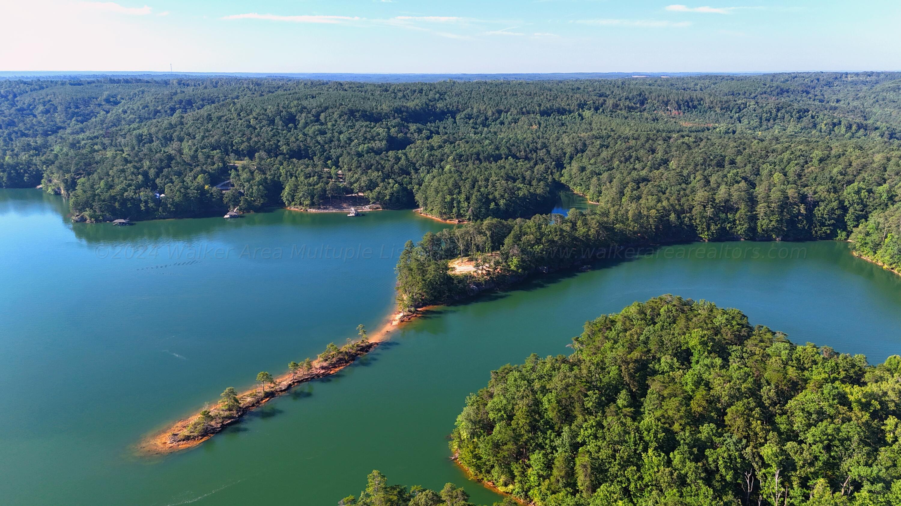 Image 4: DJI_20240711082708_0072_D