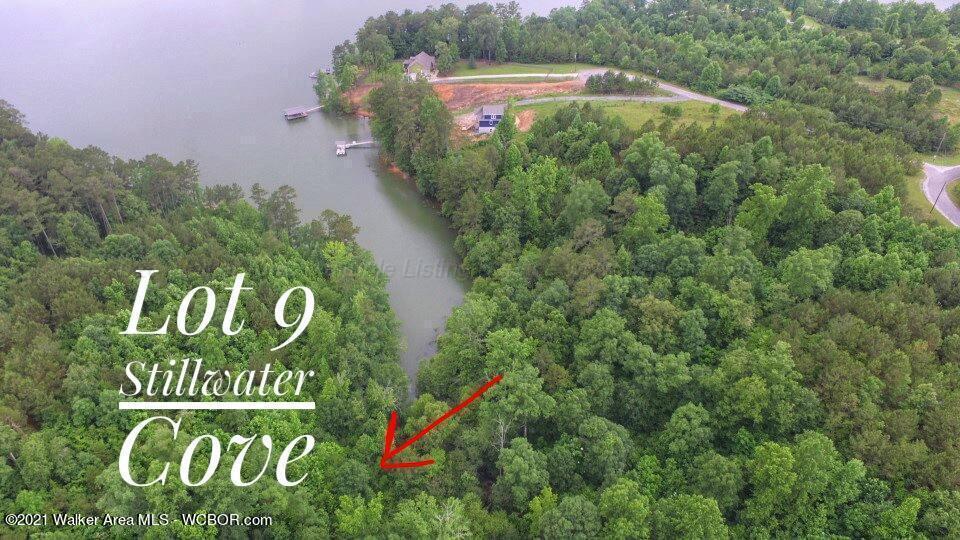 Image 1: Lot 9 Stillwater Cove