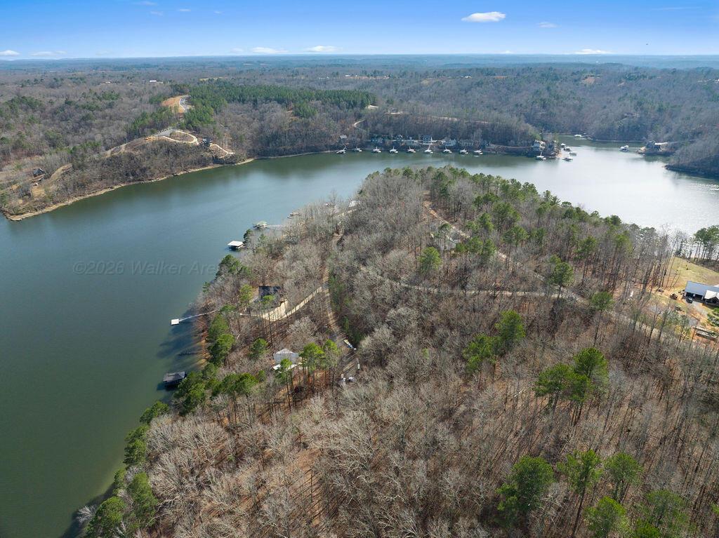 Image 4: DJI_20260208122533_0131_D