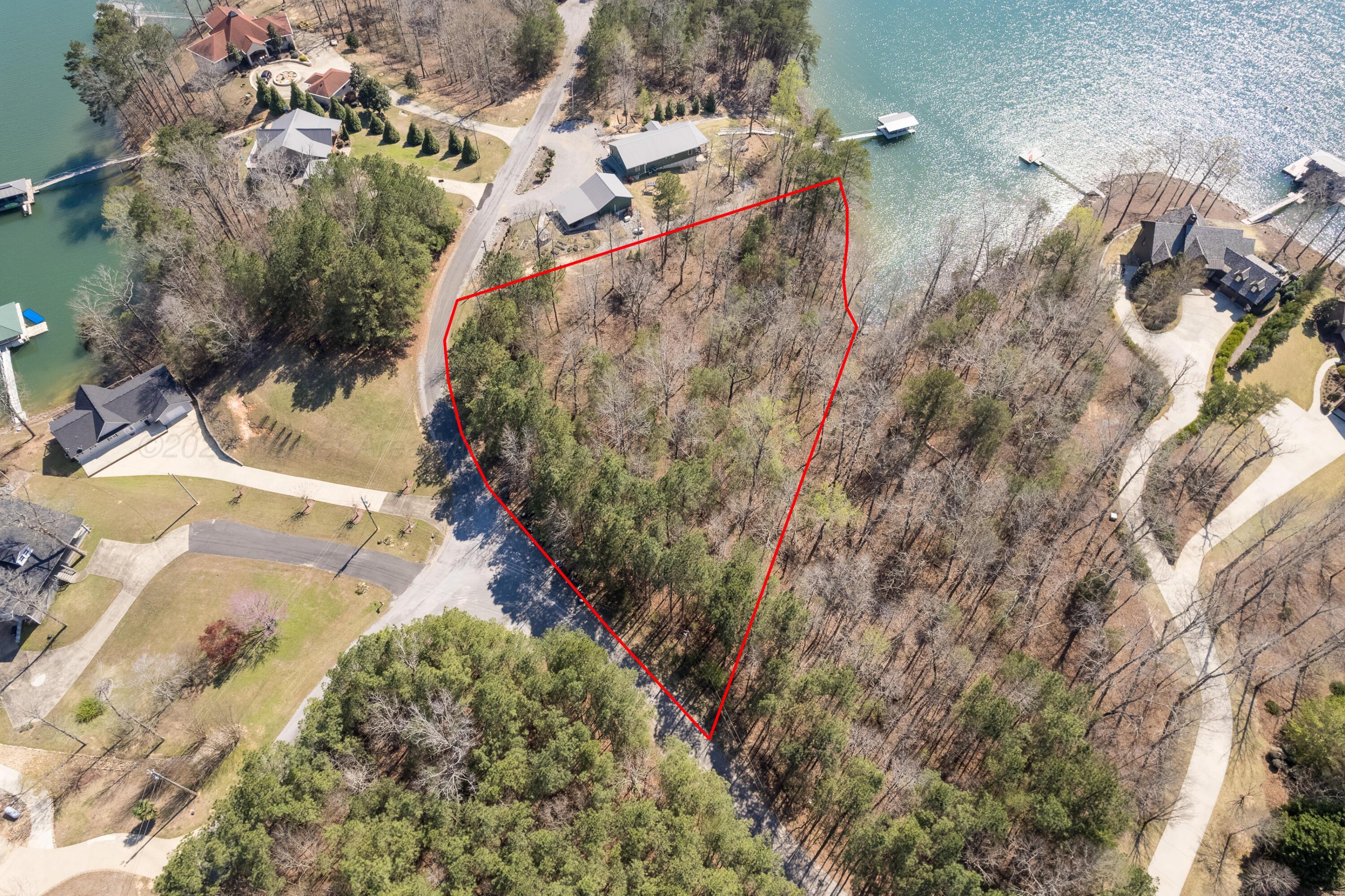 Image 3: Aerial Lot Lines