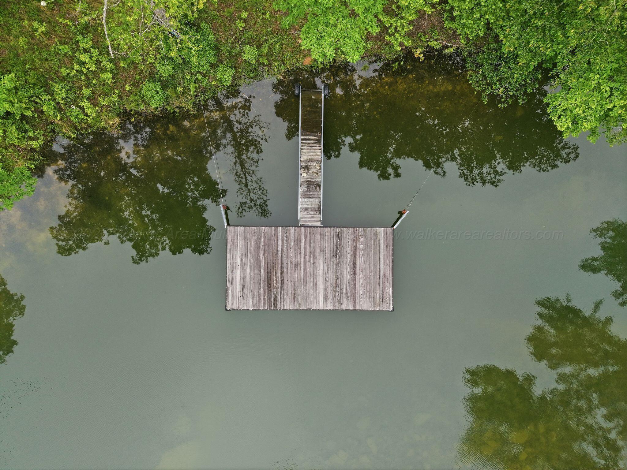 Image 3: Swim Platform