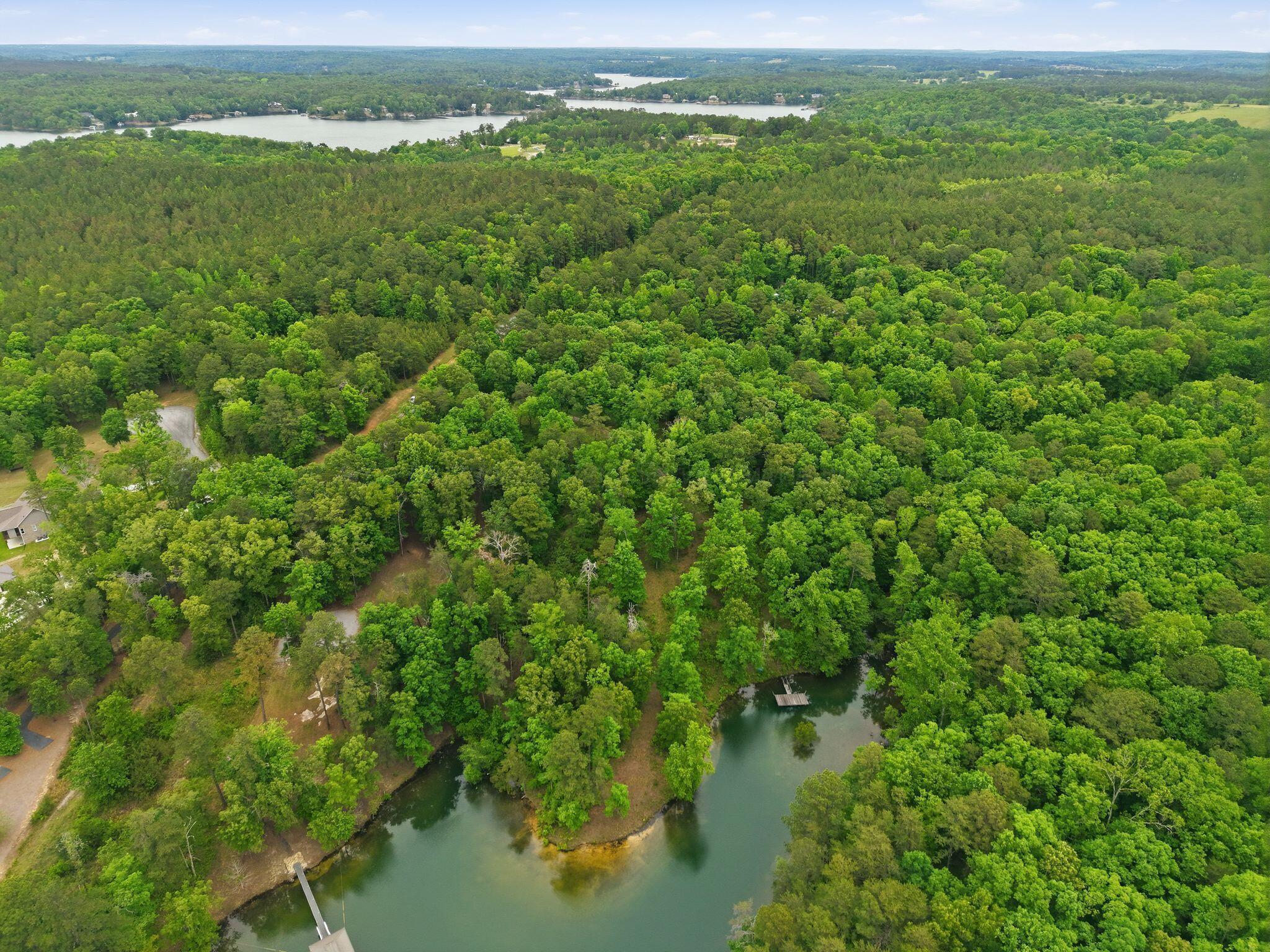 Image 4: Aerial