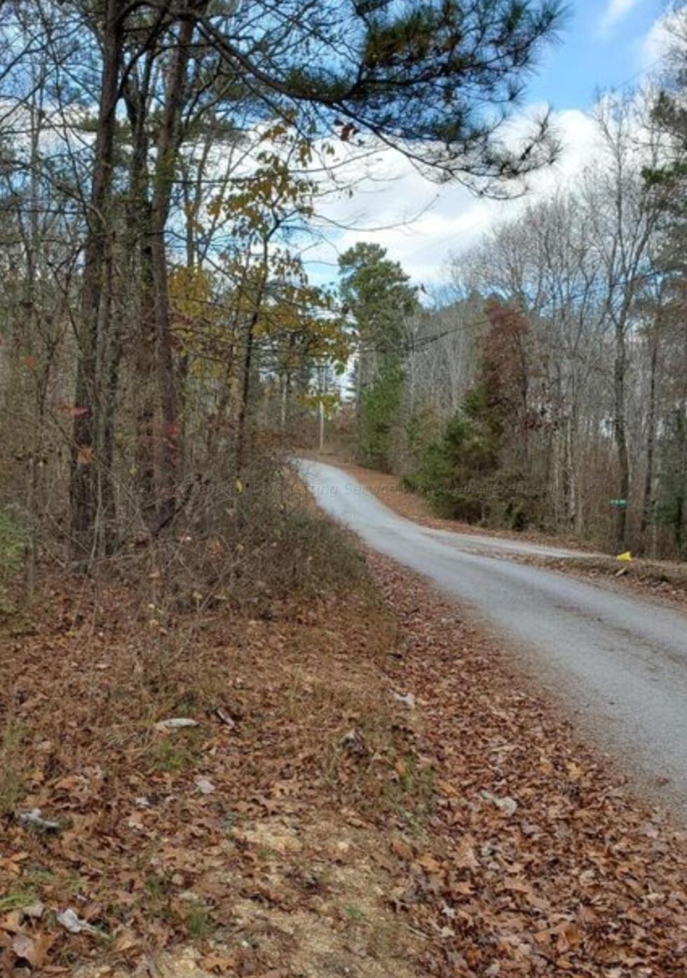 Image 2: Road