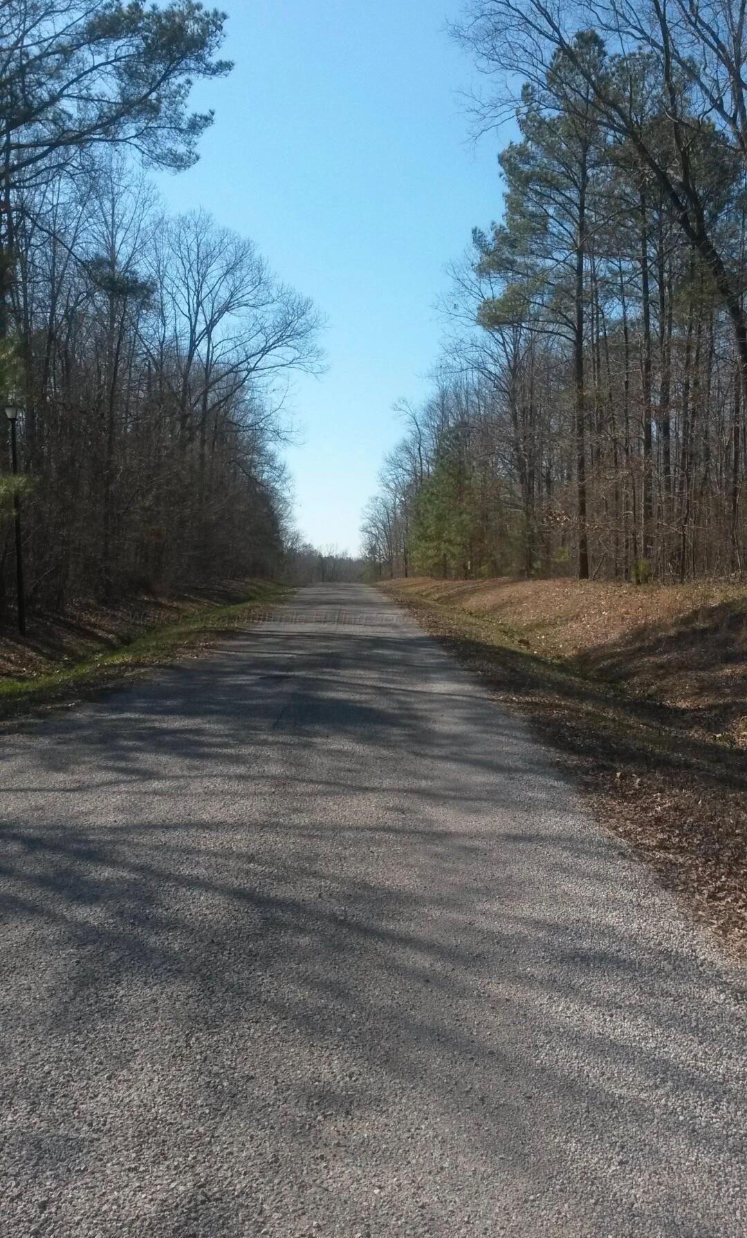 Image 3: Road