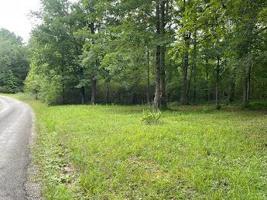 LOT 21 GREEK ESTATES