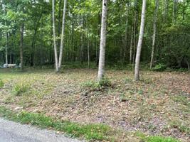 LOT 20 GREEK ESTATES