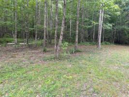 LOT 19 GREEK ESTATES