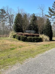 #67 BRUSHY CREEK  POINTE