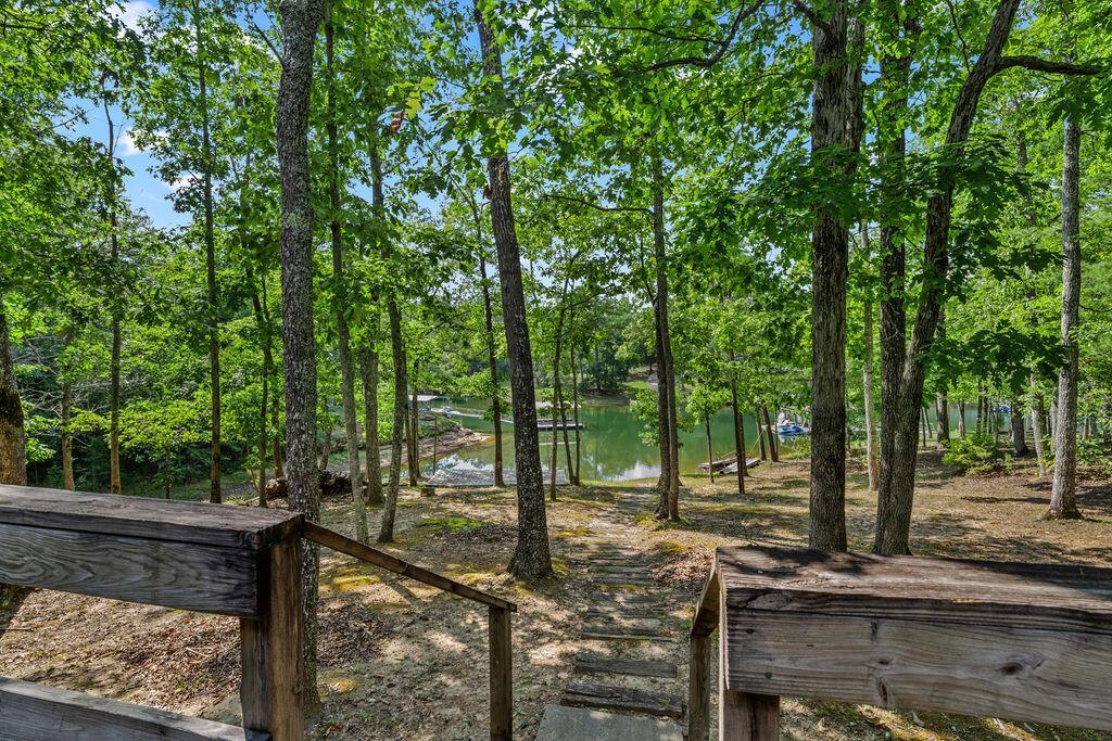 Image 3: 20240815-20240815-DSC00454