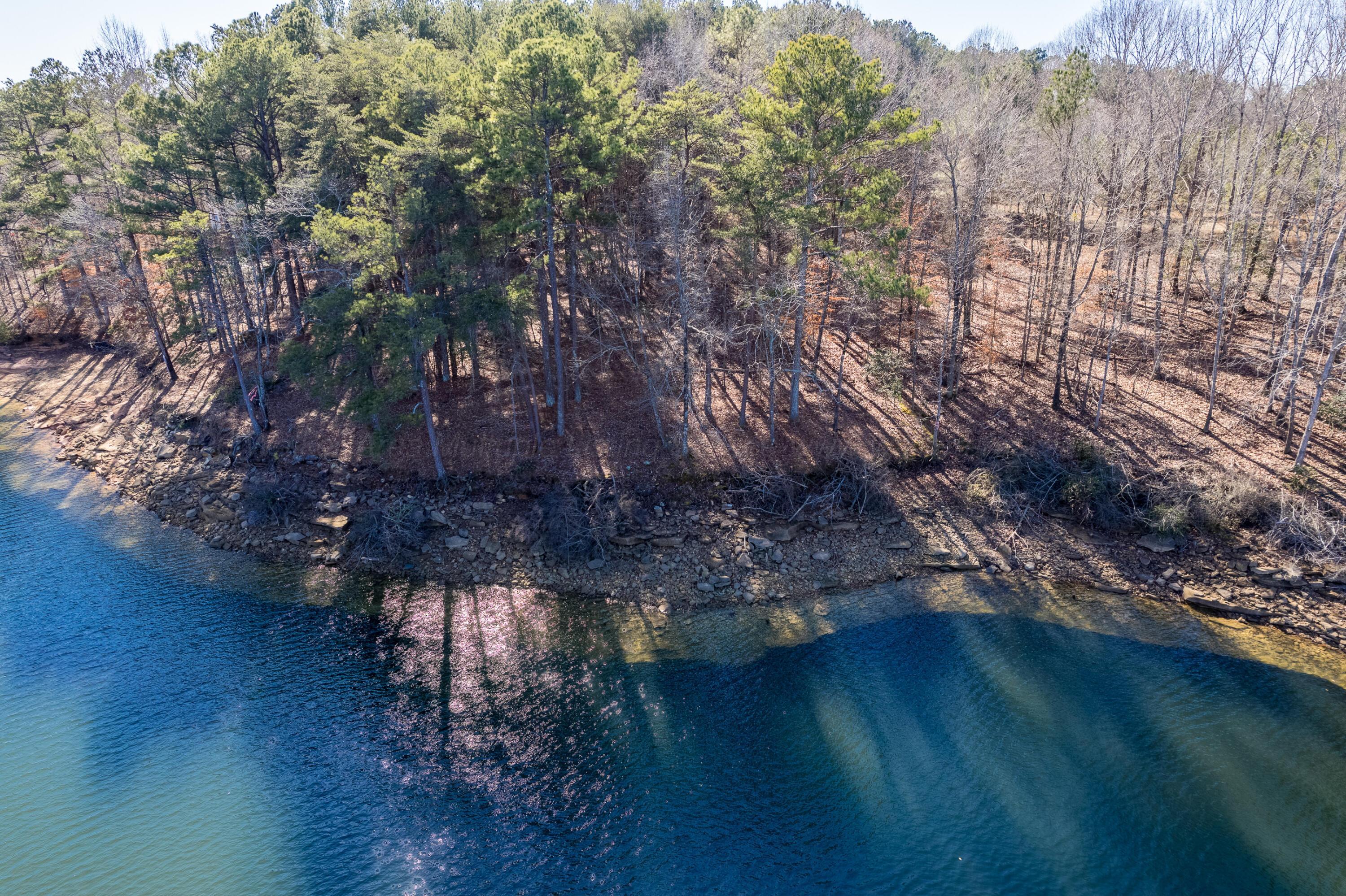 Image 1: Shoreline