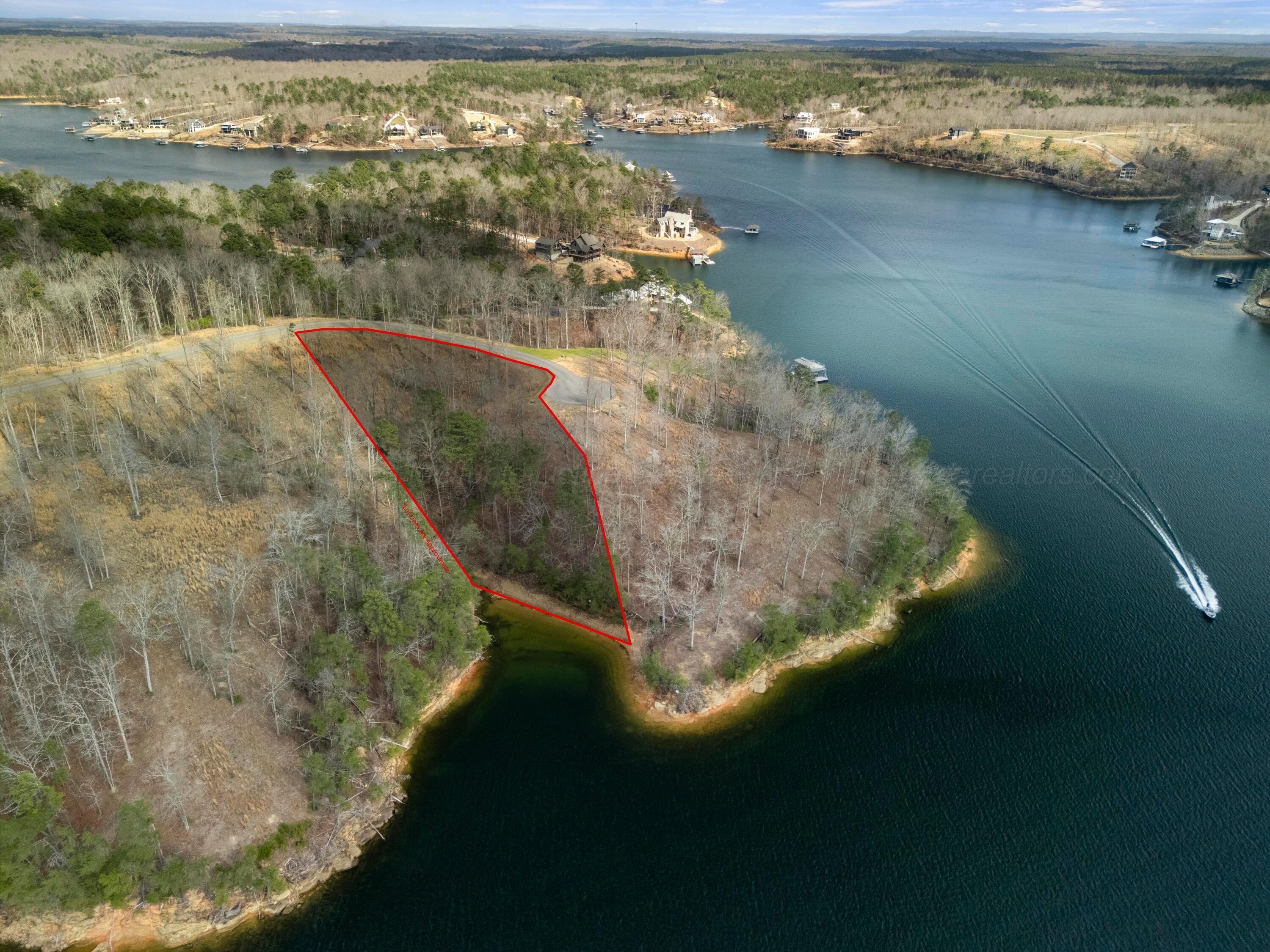 Image 3: Lot 13