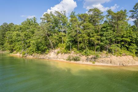 LOT 4 COUNTY ROAD 287