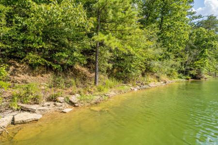 LOT 7 COUNTY ROAD 287