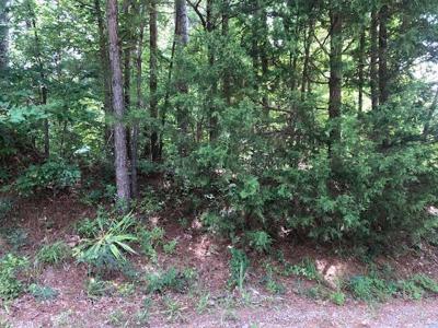 LOT 8 COUNTY ROAD 287