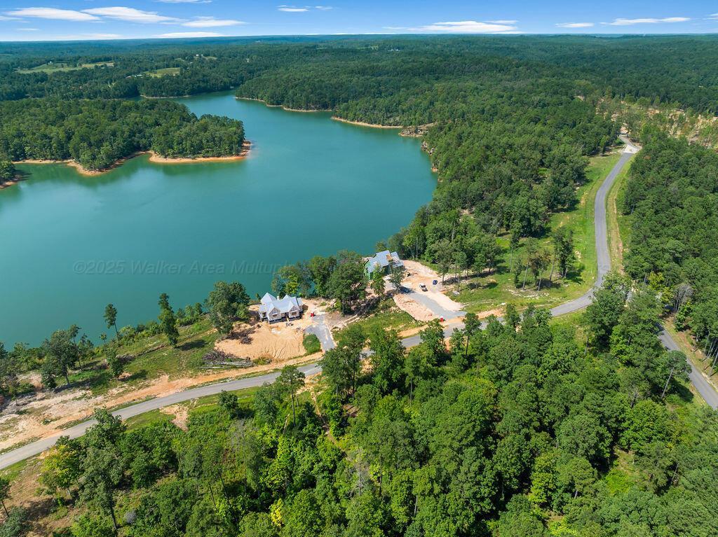 Image 3: DJI_20250826142959_0386_D-36-Edit-12